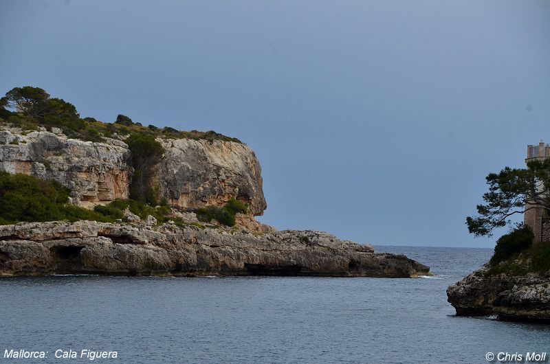 Mallorca: Cala Figuera