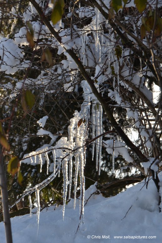 Winter in Tirol: Schnee